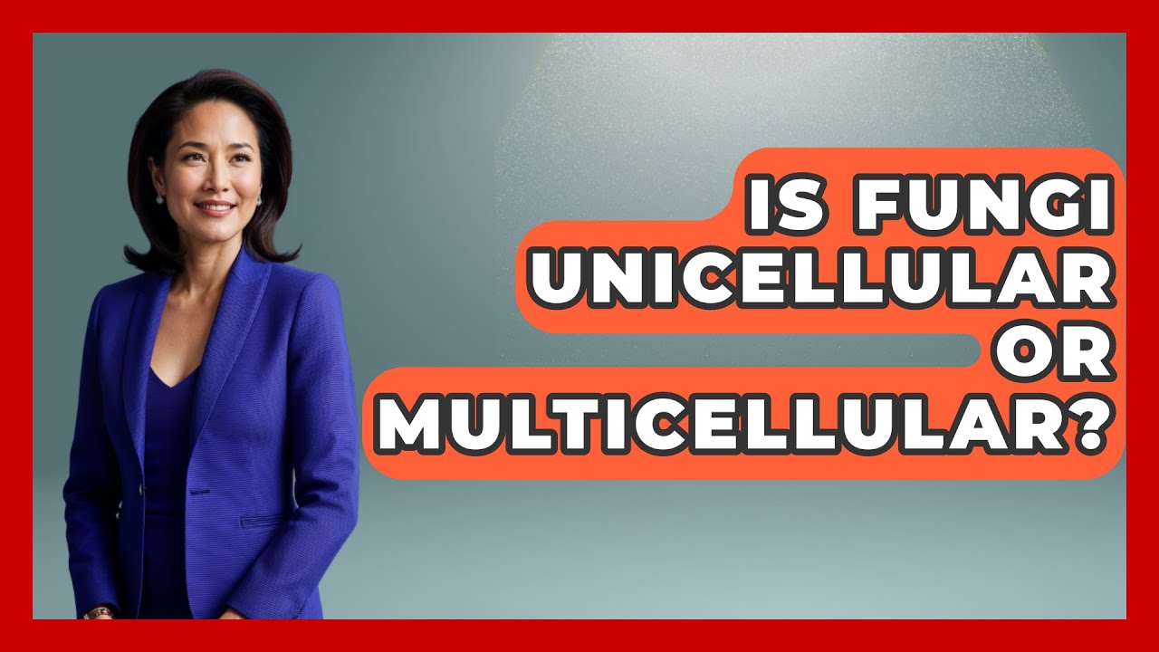 Is Fungi Unicellular Or Multicellular? - Biology For Everyone