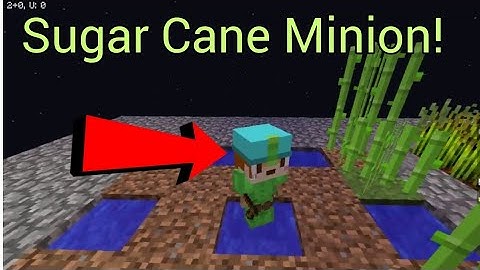 De nieuwe SUGAR CANE MINION unlocken + Farm Island! - Hypixel Skyblock #3