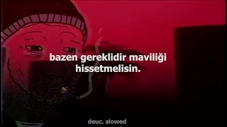 No.1 - Çiçeklerde Bir Telaş Var  ( slowed + reverb ) Resimi