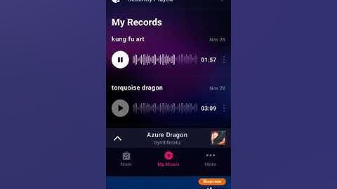 kung Fu Art song (first song I ever made
