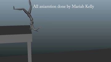 proxy rig demo