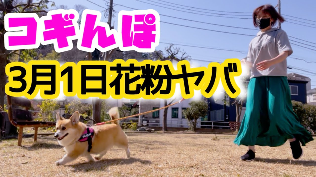 花粉がヤベェ💦★3月もよろしく