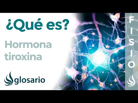 Video: En adultos, ¿la tiroxina insuficiente puede provocar?