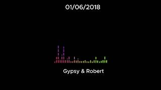 01/06/2018 - Robert - Gypsy rants about the 20/20 episode & begs Robert to visit her again.