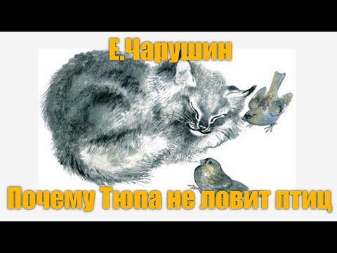 Е.Чарушин "Почему Тюпа не ловит птиц"