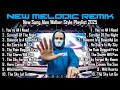 Rise of Shadows – New Melodic Remix Full Bass | Alan Walker x Rock Style 2025 #EDM #remix #chill