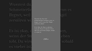 Auch Schmetterlinge ruhen, wenn es regnet. 🦋🌧️