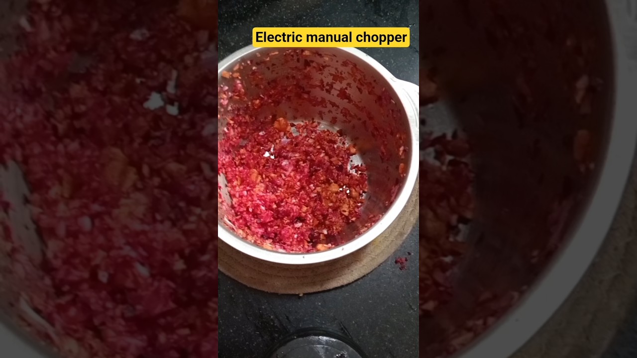 electric manual chopper kitchen expert