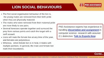 PhD Dissertation Writing Services- DISSERTATION ALGORITHM DEVELOPMENT Ant-Lion Optimizer Algorithm