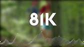 Swiss Canyon Trail 75 80km Youtube