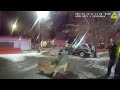 Man With Fake Gun vs. Police K9