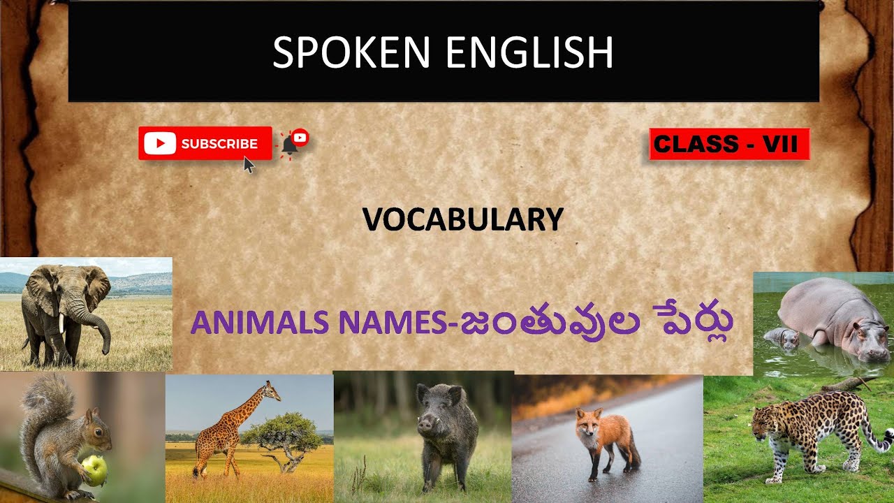 Animals Vocabulary In English | Animal Names in English | Spoken English With Telugu 
