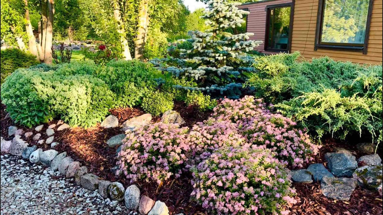 05.01.2025 Экономия и красота: спиреи как лучшие растения для сада с малым бюджетом