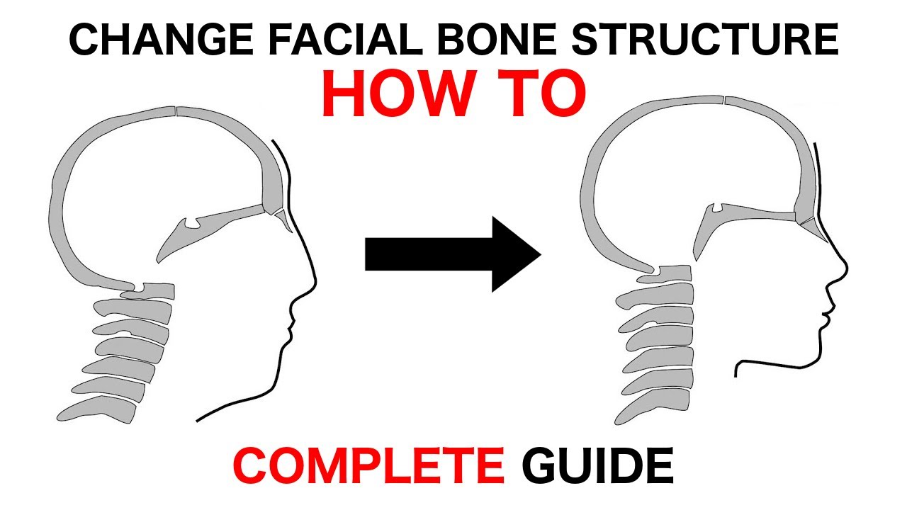 How Mewing Works - The Maxilla Sutures – Spartan Health™