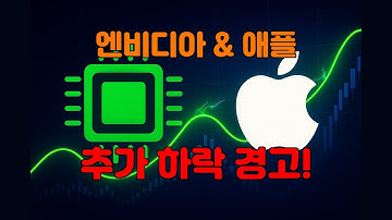 미국 주식 투자 나스닥 엔비디아 NVDA 젠슨황 AI GPU 데이터센터 애플 APPL 팀쿡 아이폰 차트 분석 : 다시 하락으로