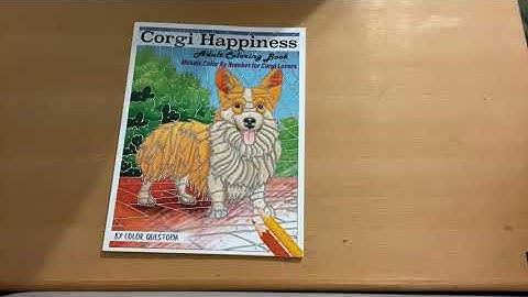 Corgi Hapiness by Color Questopia Flip Through