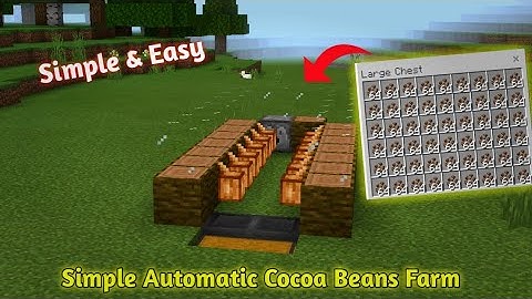 Simple 1.18 Automatic Cocoa Bean Farm Tutorial in Minecraft