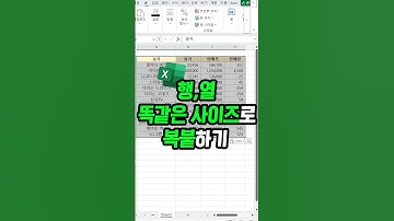 엑셀 행,열 똑같은 사이즈로 복사 붙여넣기 하는 방법