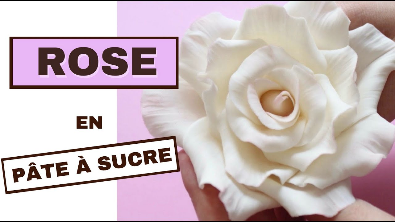 🌹GRANDE ROSE EN PÂTE À SUCRE 🌹 / BEAUTIFUL GUMPASTE ROSE TUTORIAL 