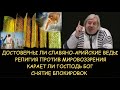 ✅ Н.Левашов: Достоверны ли Веды. Карает ли Господь. Религия или мировоззрение. Снятие блокировок