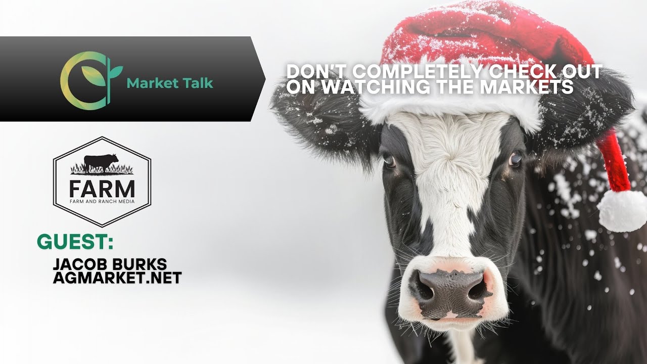 Don't Completely Check Out on Watching the Markets