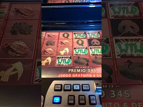 casino caliente pago 200 pesos de utilidades a empleado x 1 año