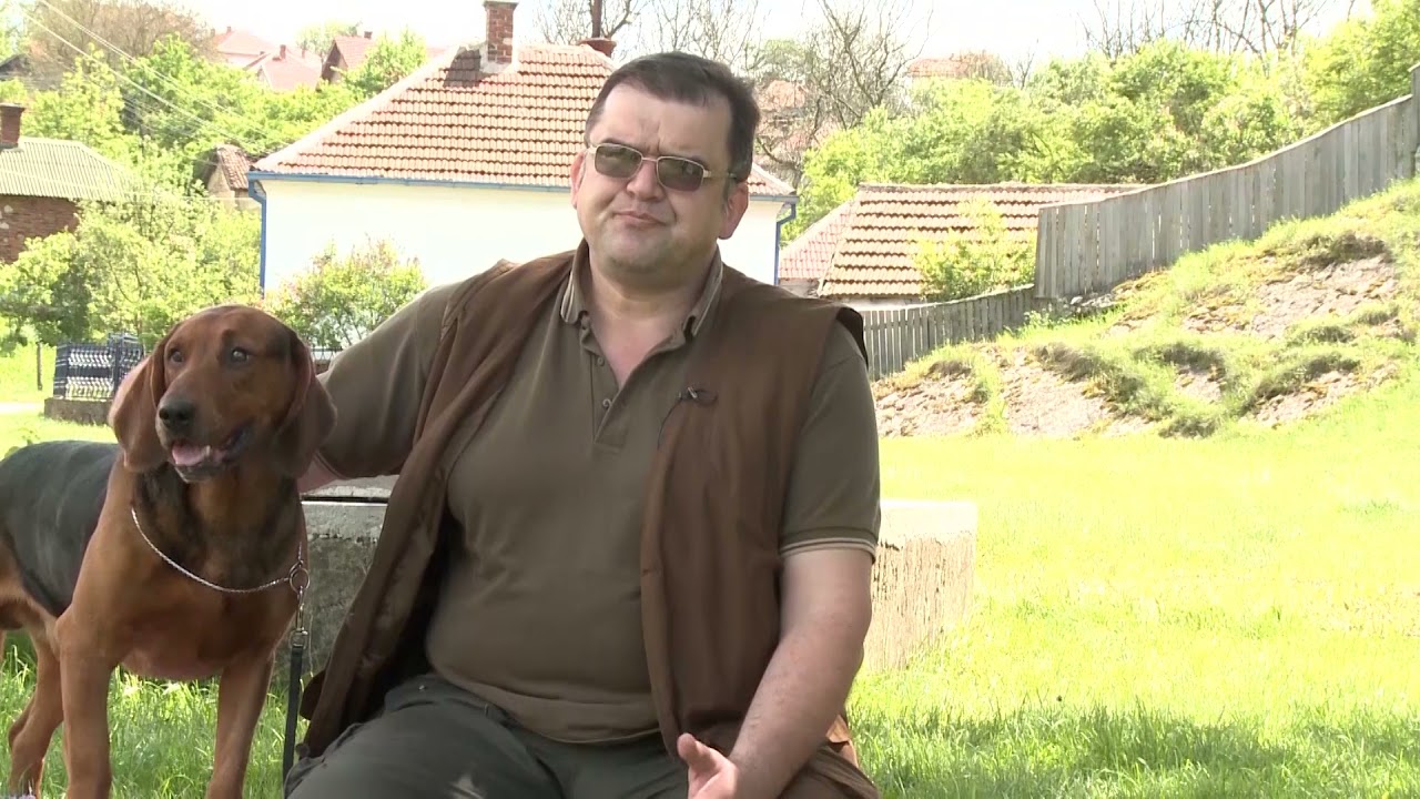 Razmnožavanje goniča - Lovački saveti