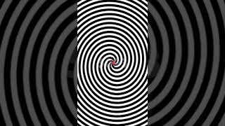 Celebrity I found a REAL Optical Illusion π΅ #shorts Wealth