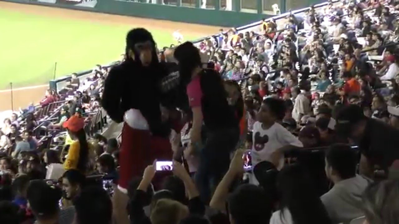 precio pastelazo cañonazo