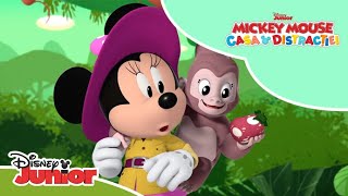 Înapoi În Pădurea Fermecată Mickey Mouse Casa Distracției Disney Junior România