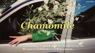 Jeff Bernat _ Chamomile (thaisub)