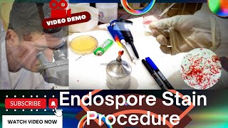 The Endospore Staining Procedure @hereditybioacademy7062 #microbiology