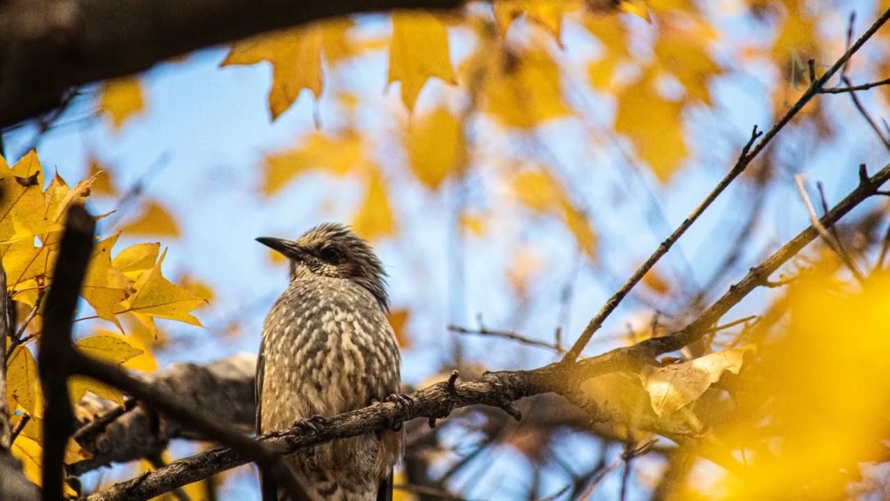 Meet Morven Park! Come and visit, and stay a while..