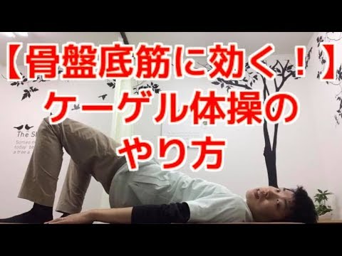 自分に合ったケーゲルボールの選び方