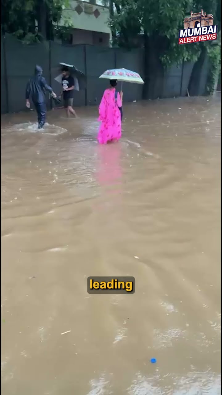 Mumbai Rain LIVE: Heavy Showers Flood Vasai, Virar, Andheri.