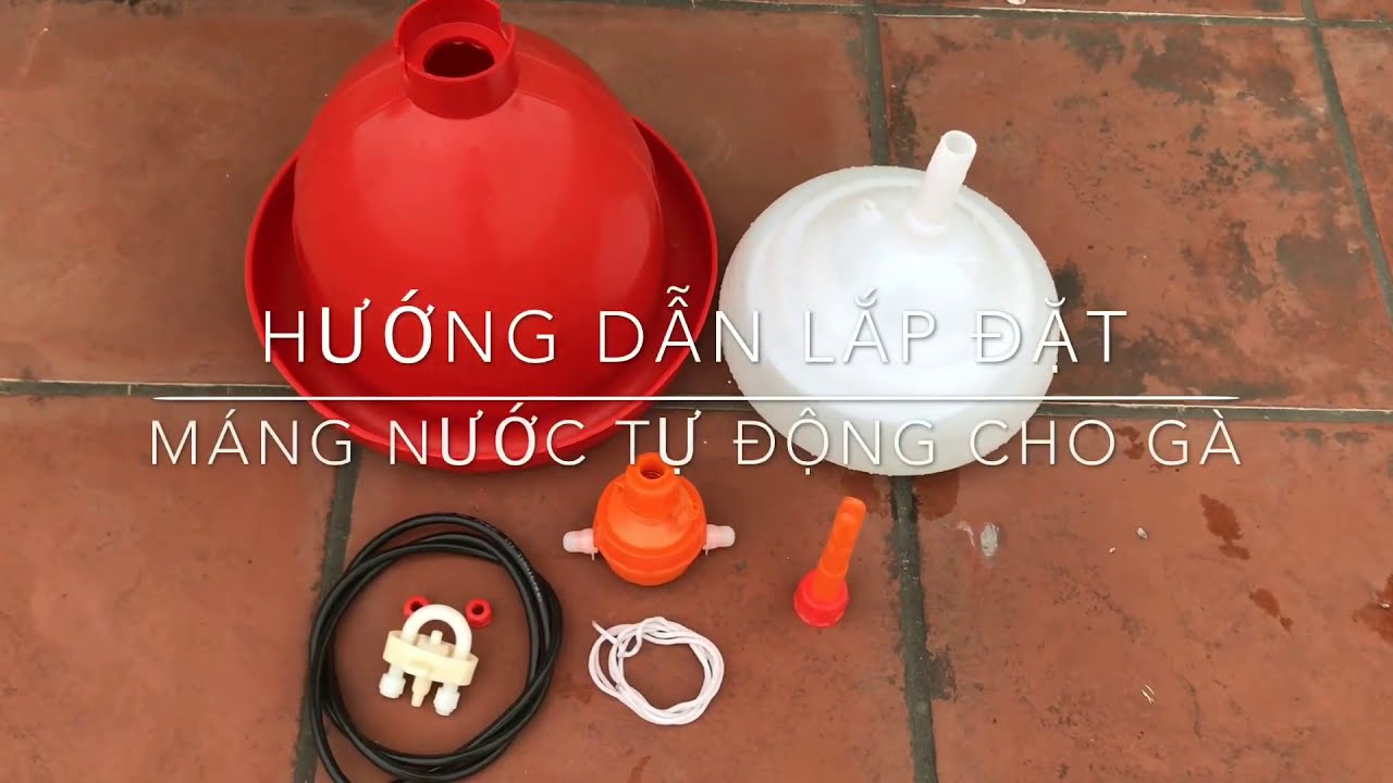 Tìm hiểu về máng nước chuông tự động cho gà và lợi ích khi sử dụng