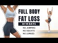 Full body fat loss in 14 days 30 min nonstop standing workout  no jumping no squats no lunges