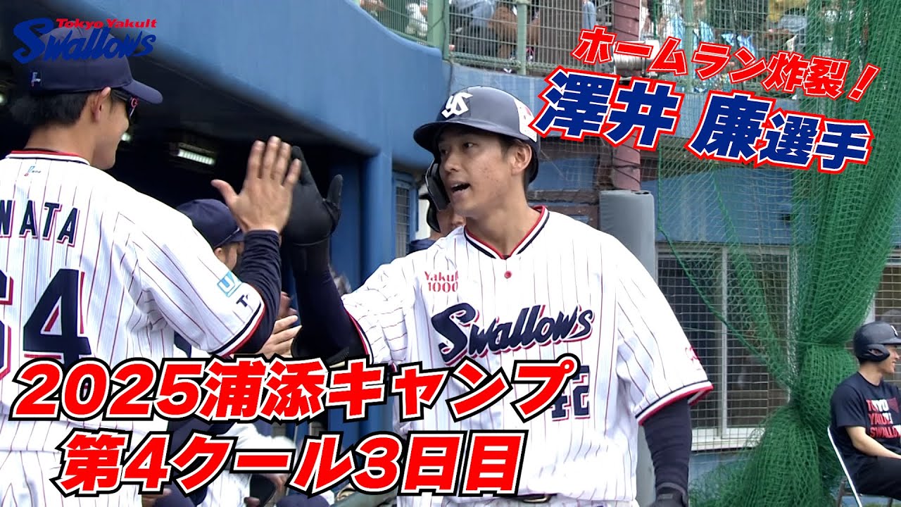 澤井 廉 | 選手・チーム | 東京ヤクルトスワローズ