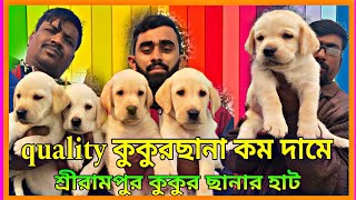 Serampore pet market | new dog collection | dog price update serampore pet market #dog #dogforsale by pom Tv Love dog & (vlog) 416 views 3 months ago 8 minutes, 23 seconds