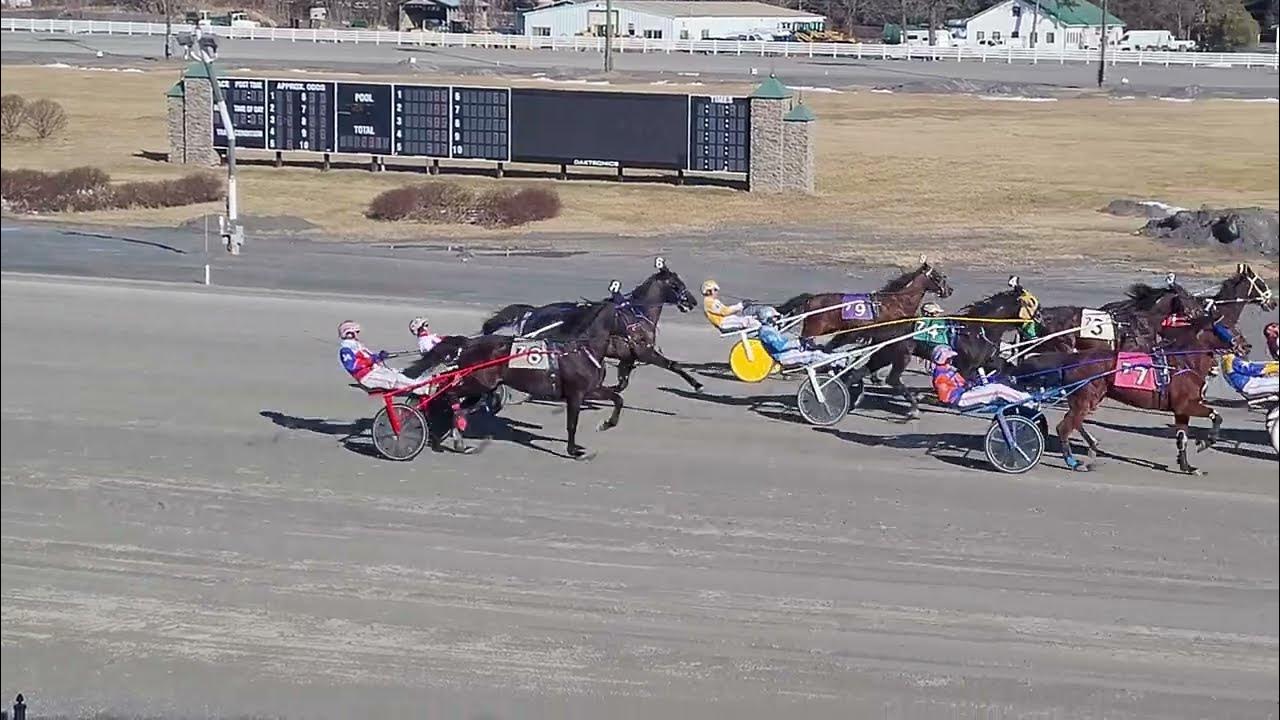 Saratoga Harness (Live) Race 7 13,375 TROT February 13, 2023 YouTube