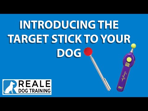 Part 1: How to Use the Target Stick with Your Dog