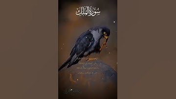 تلاوة خاشعة عطرة مباركة جميلة عذبة للشيخ ماهر المعيقلي ماتيسر من سورة الملك