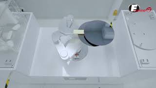 Dual-Arm 4-Axis Wafer Transfer Robot