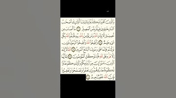 سورة التغابن من الآية 10 للآية 14