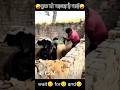 भाई ने कांड कर दिया🥺🤪🥺up wala desi vlogs #shorts #short #viral #viralshorts