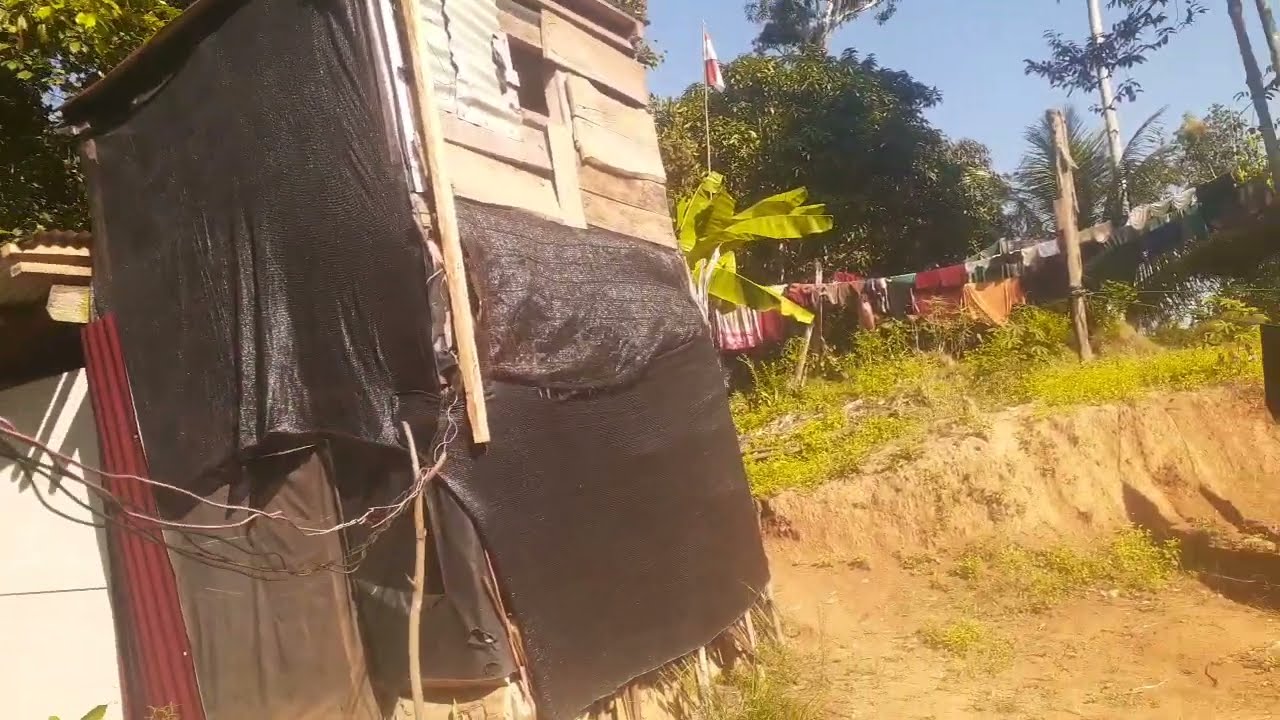 lagi cek di rbw mini asaljadi ternyata ada walet yang tewas