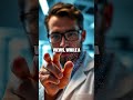 Transparent Power: Quantum Dot Solar Windows Redefining Energy Everywhere