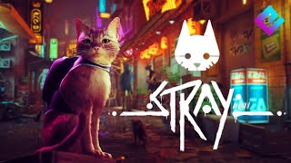 STRAY PS5 Playthrough Chapter 5 How to solve the Tracker repair quest and leave the SLUMS