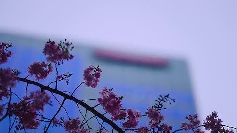 Takeda’s Digital Transformation | Advance science, impact lives