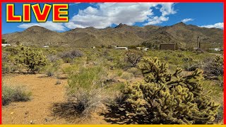 Rv Chat Live: Pelicamp West?